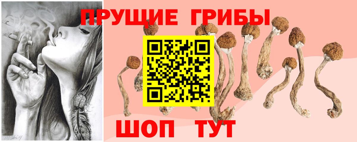 Ишим  где найти   Вход с VPN  Галлюциногенные грибы GOLDEN TEACHER  Галлюциногенные грибы MAGIC MUSHROOMS 
